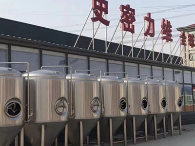 盐城精酿啤酒设备厂—市场规模与跨界新需求